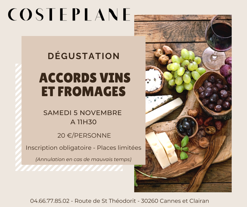 Accords-vins-et-fromages